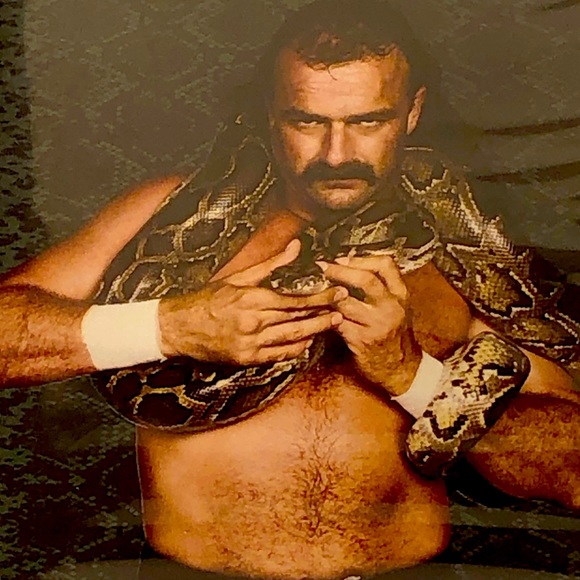 Jake the Snake Roberts Pick Your Poison for PSP - Picture 4 of 4